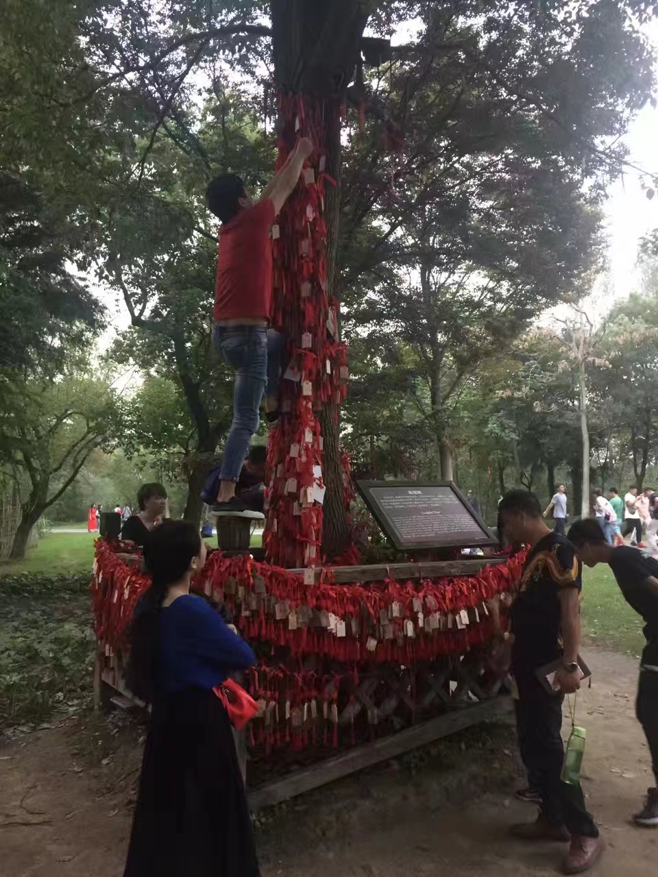 十一乌镇游玩，谈谈要输出 - 第10张图片