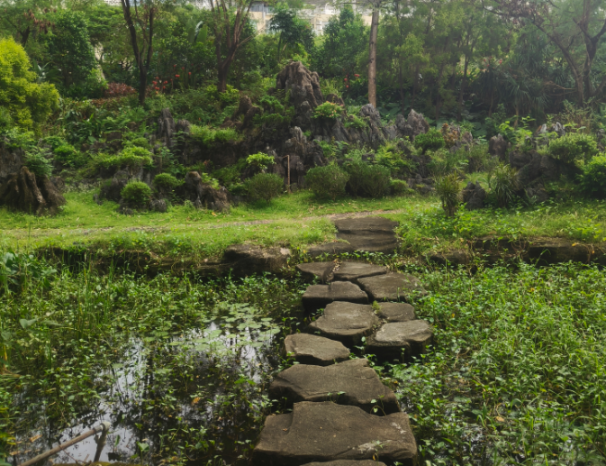 由<<长安的荔枝>>谈谈这次深圳物流博览会 - 第11张图片