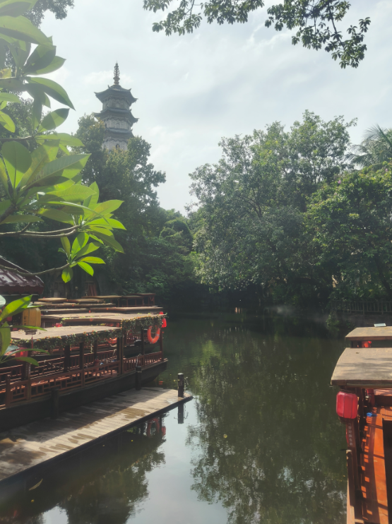 由<<长安的荔枝>>谈谈这次深圳物流博览会 - 第18张图片