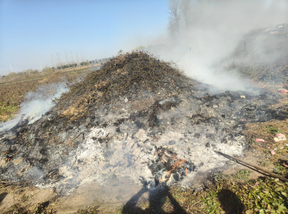 11月流水记事 - 第13张图片