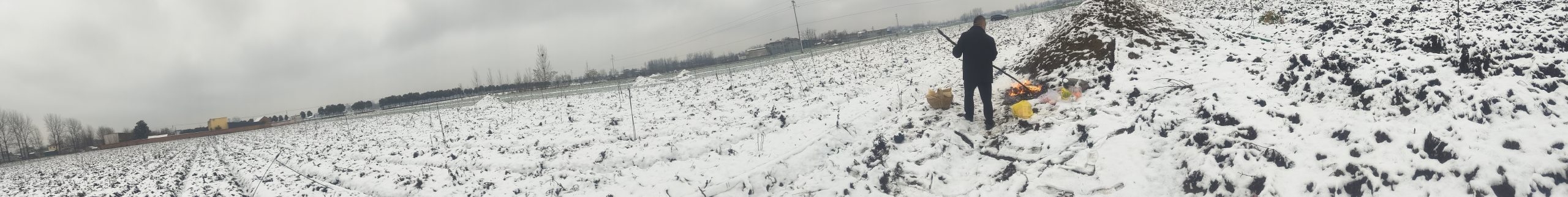 2026年春节记事-再也回不去的年 - 第2张图片