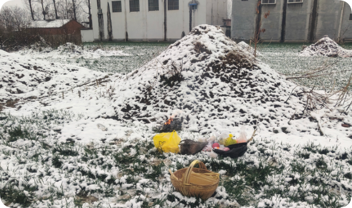 2026年春节记事-再也回不去的年 - 第3张图片