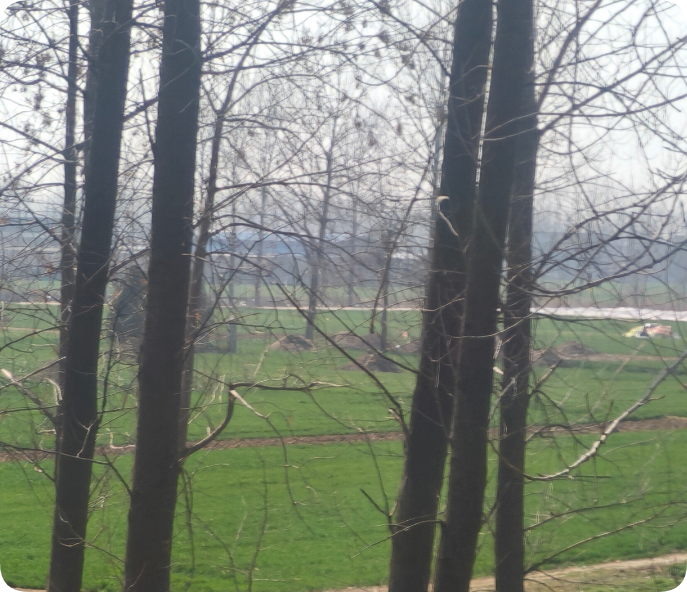 2026年春节记事-再也回不去的年 - 第9张图片