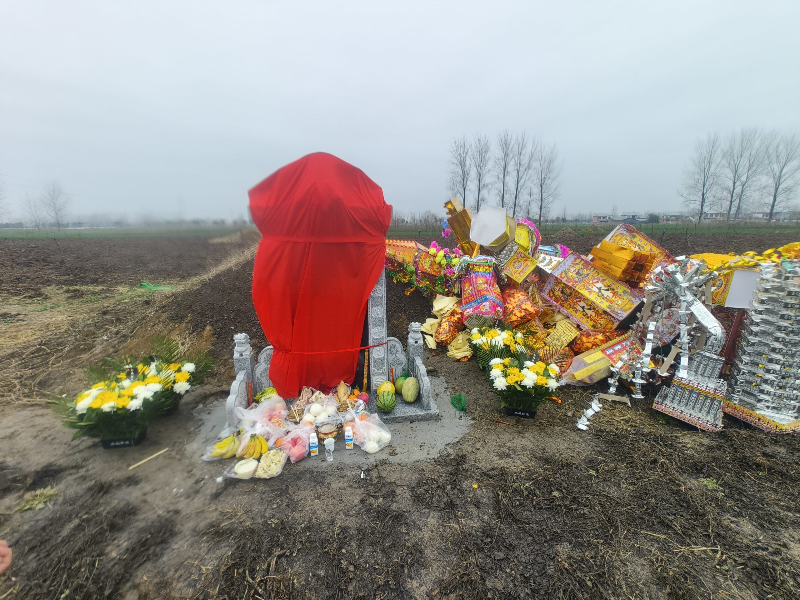 2026年春节记事-再也回不去的年 - 第16张图片