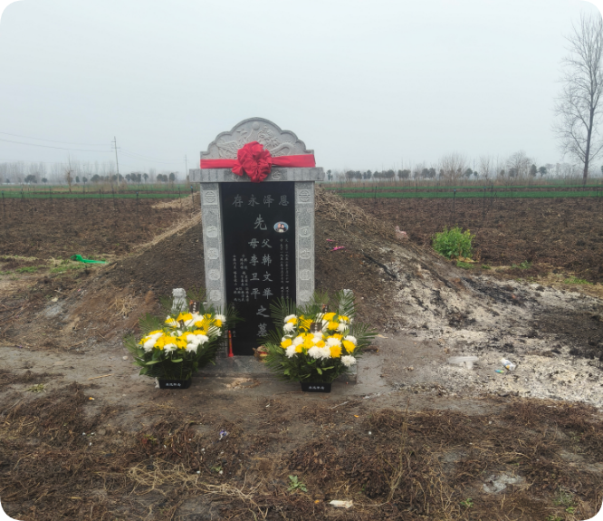 2026年春节记事-再也回不去的年 - 第17张图片