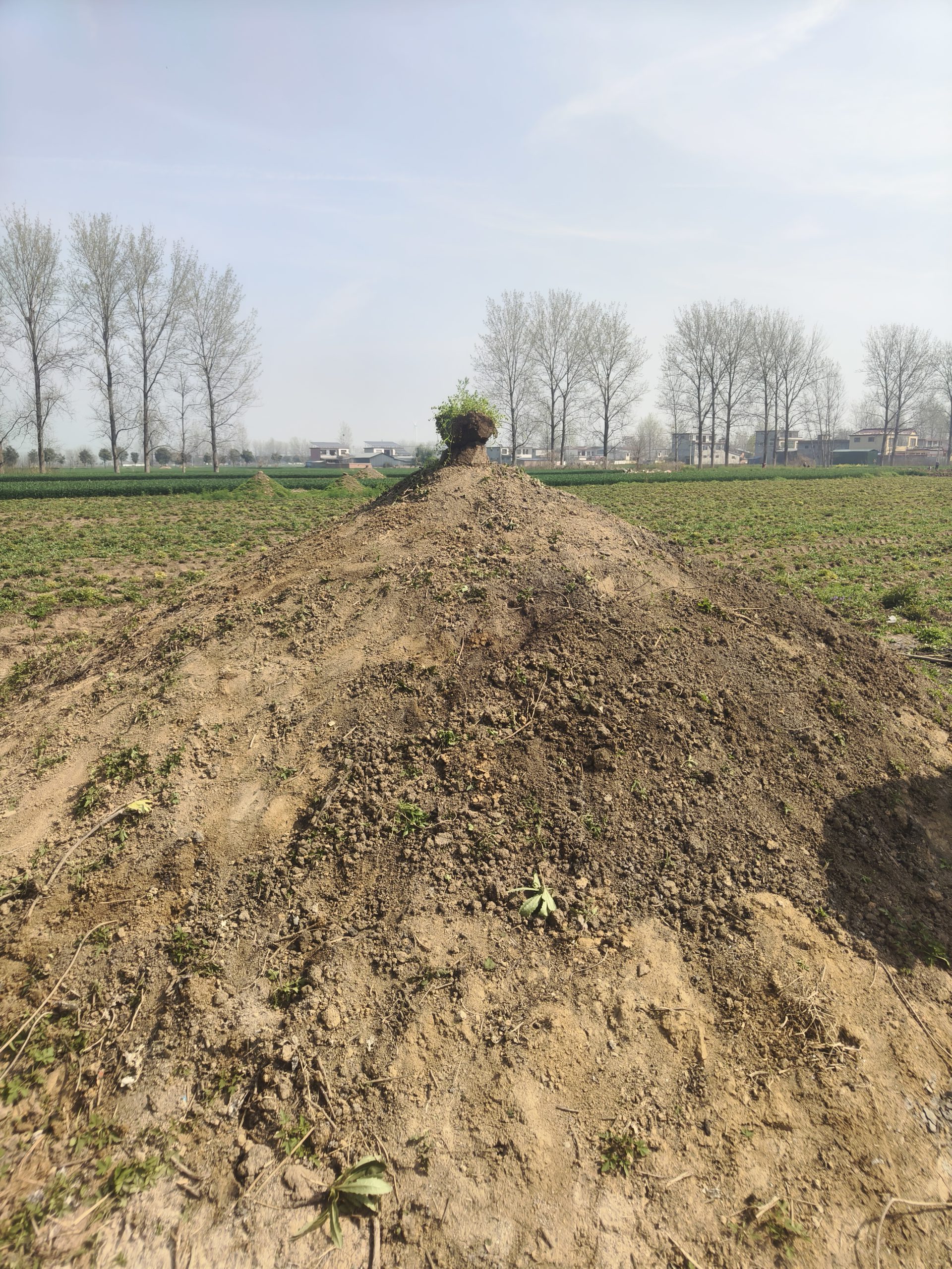 堂侄女结婚记录 - 第15张图片