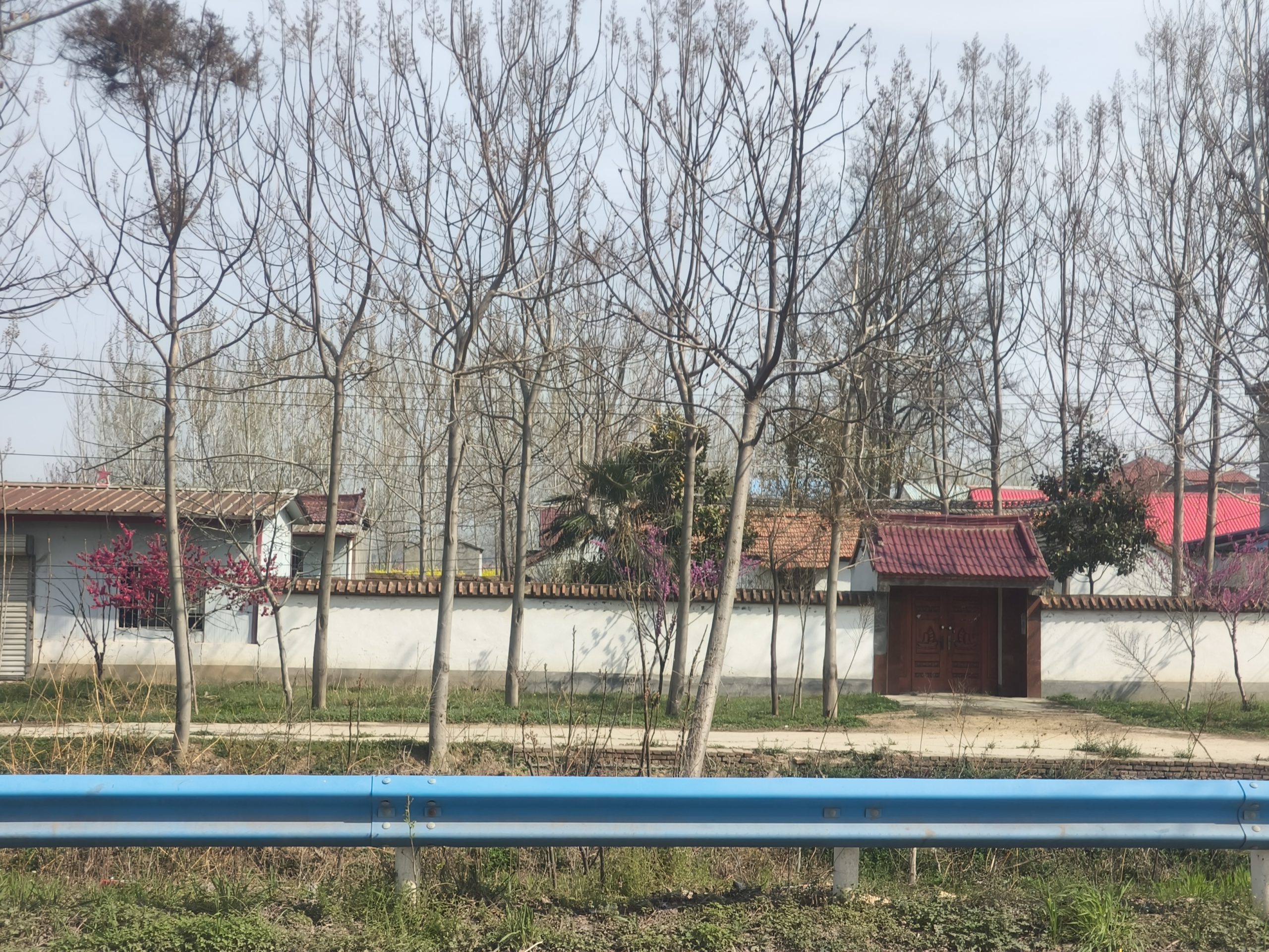 堂侄女结婚记录 - 第16张图片