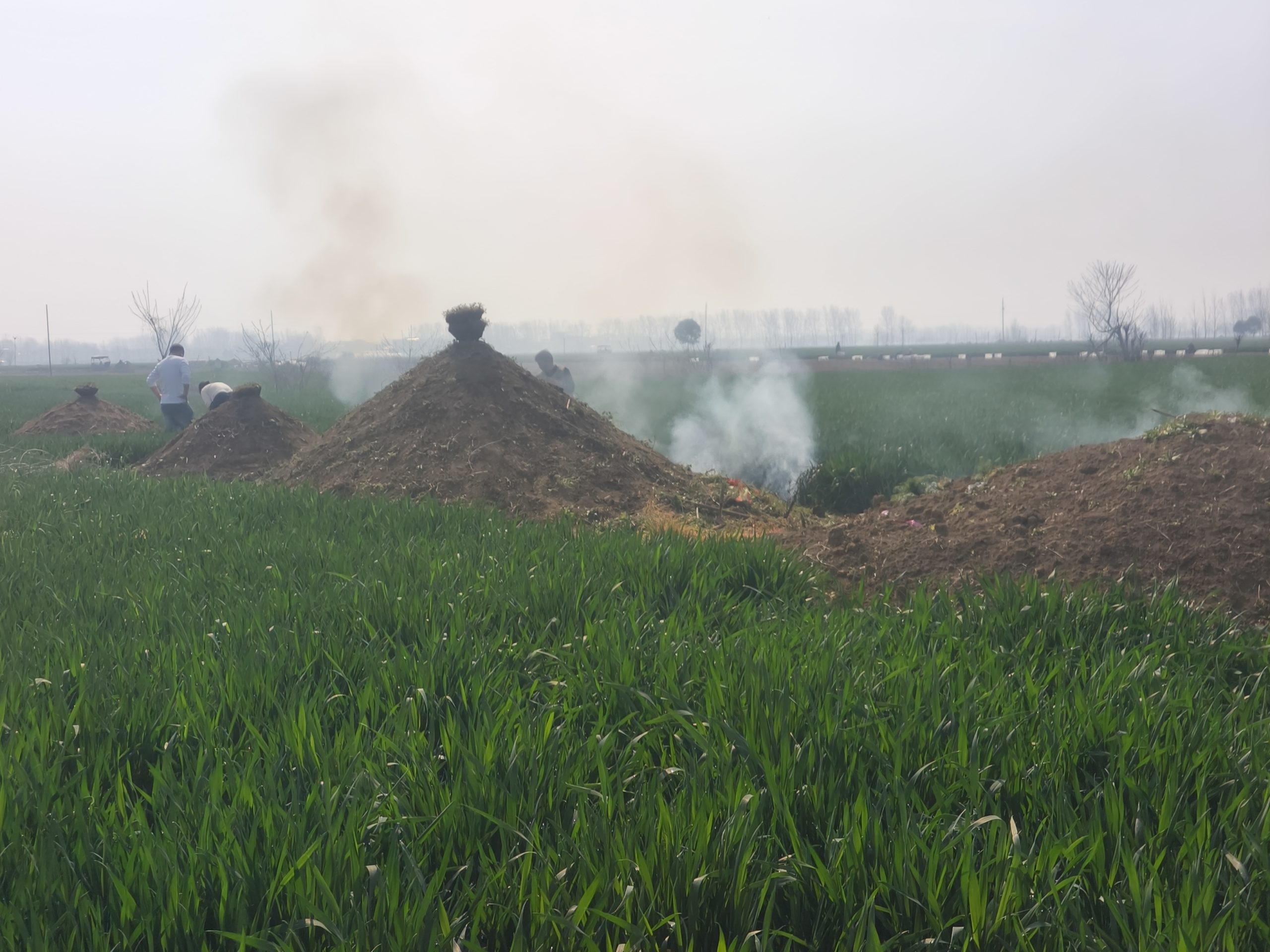 堂侄女结婚记录 - 第18张图片