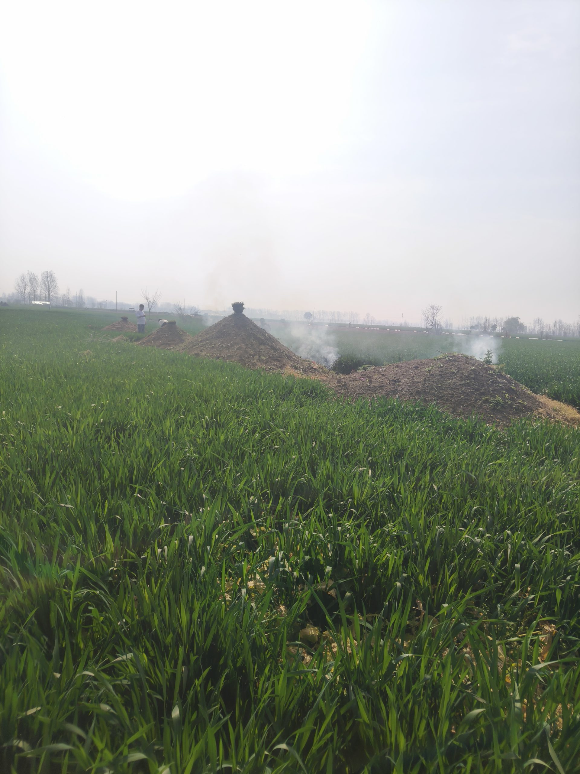 堂侄女结婚记录 - 第19张图片 | 忆秋年 - Blog 堂侄女结婚记录 - 第19张图片